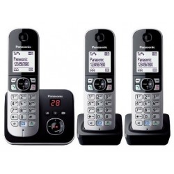 PANA-KX-TG6823-01